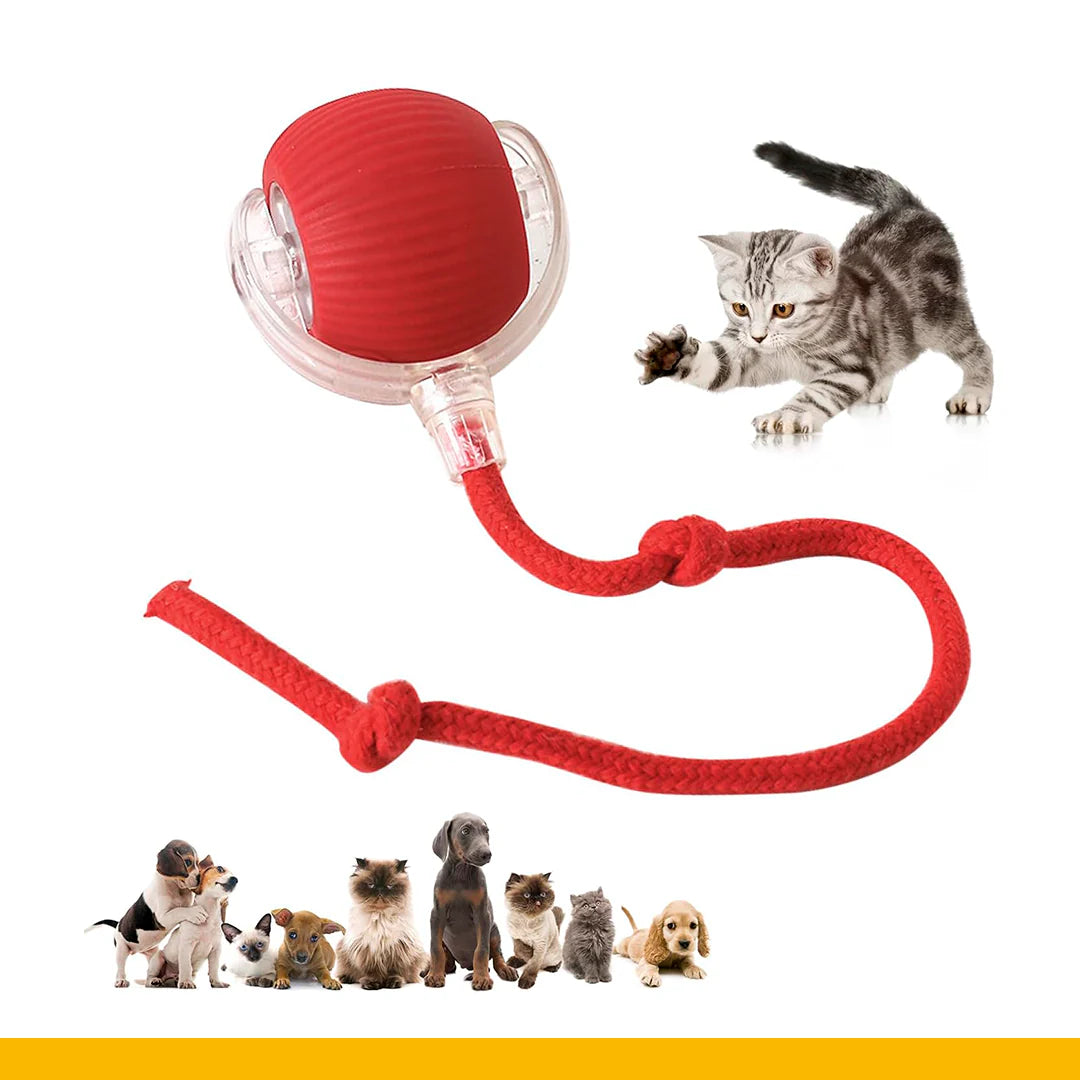 PELOTA INTERACTIVA PARA MASCOTAS
